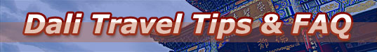Dali Travel Tips and FAQ